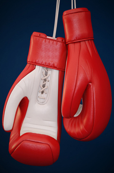 Thomas Wellness Group distribuirá la máquina de boxeo Nexersys - CMD Sport